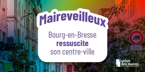 NL_Maireveilleux (2)